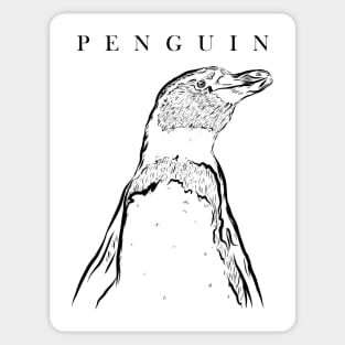 Emperor Sea Bird King Penguin Lover Penguin Sticker